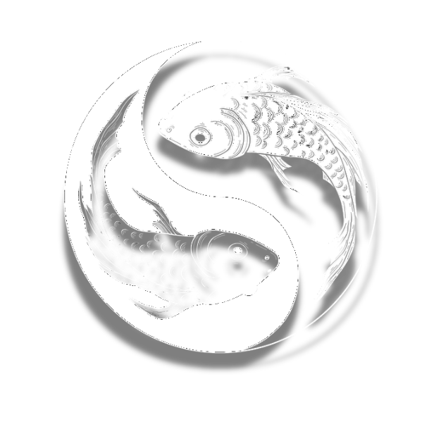 Logo foiditos Yin Yang em Papiro